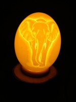 Straußeneilampe mit Elefant